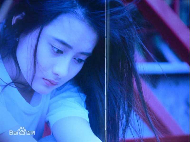 陈德容(Vivian)《豆蔻》集