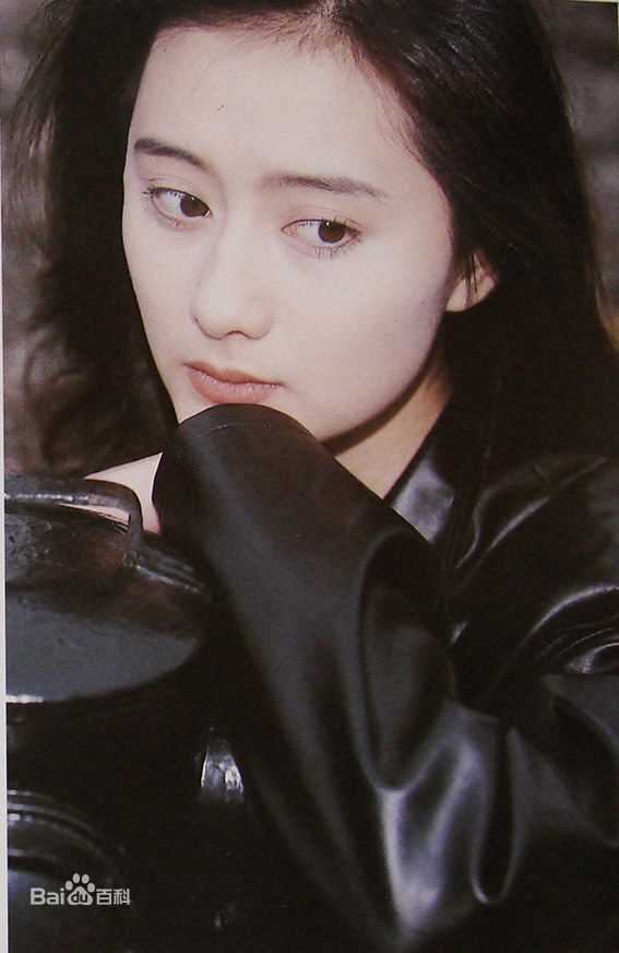 陈德容(Vivian)《豆蔻》集