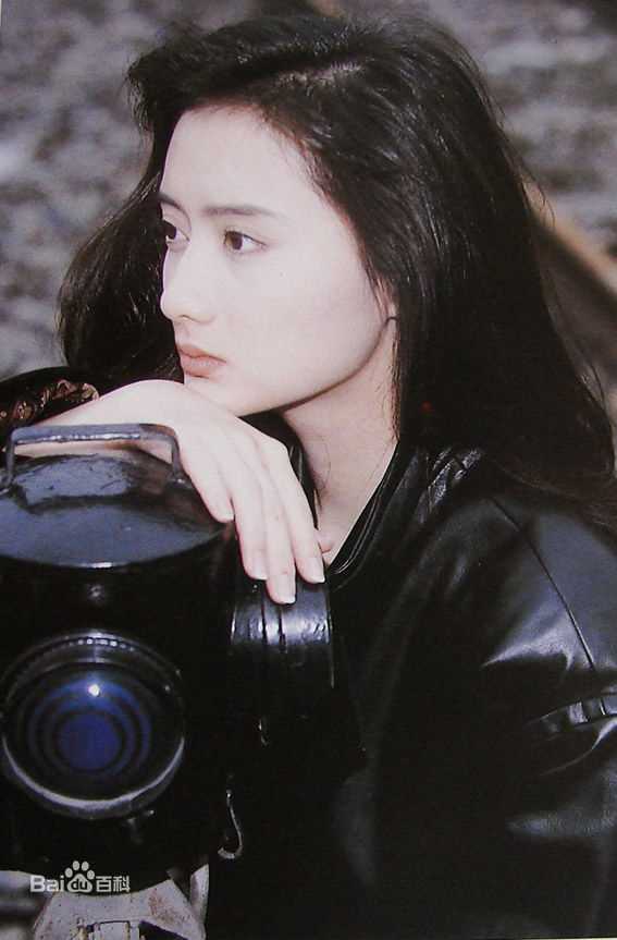 陈德容(Vivian)《豆蔻》集