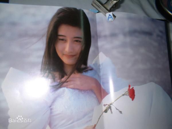 陈德容(Vivian)《豆蔻》集