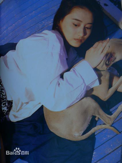 陈德容(Vivian)《豆蔻》集