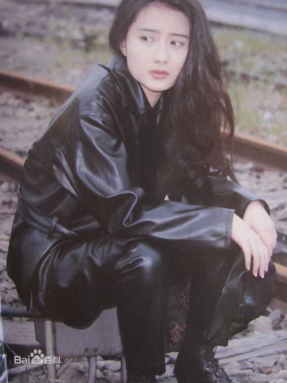 陈德容(Vivian)《豆蔻》集