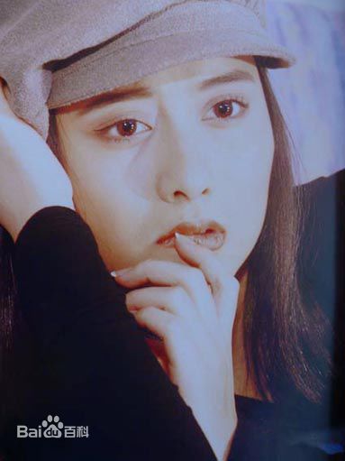 陈德容(Vivian)《豆蔻》集