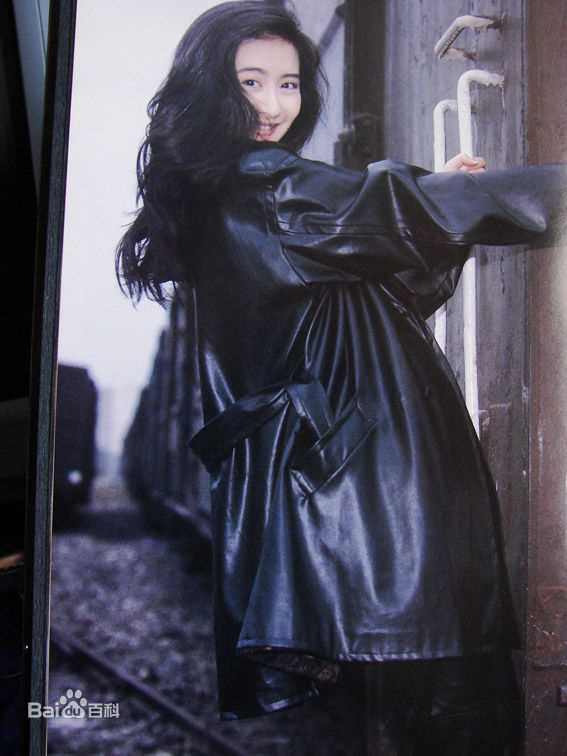 陈德容(Vivian)《豆蔻》集