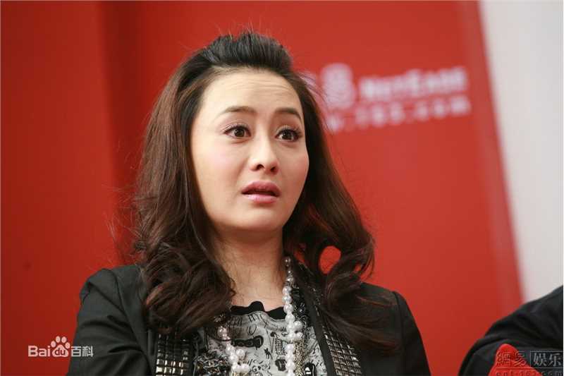 陈德容(Vivian)2009年新闻活动专辑图册