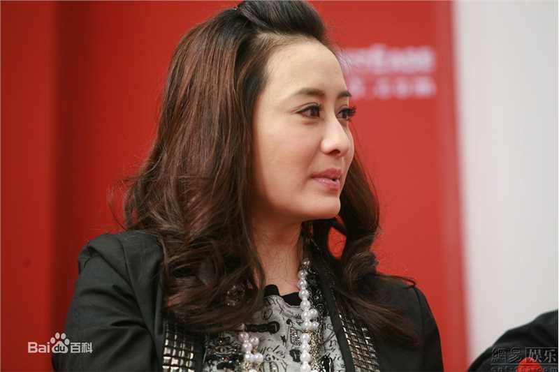 陈德容(Vivian)2009年新闻活动专辑图册