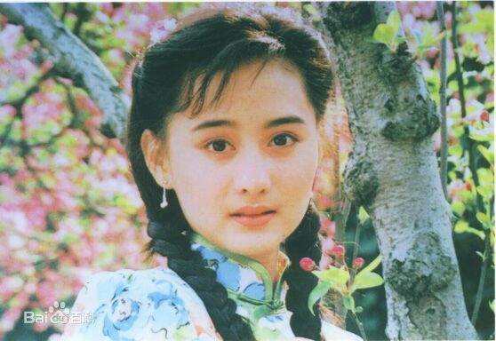 陈德容(Vivian)1993年《梅花三弄之水云间》精选剧照
