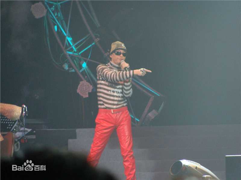 蔡枫华(Kenneth)2011演唱会性感图片图集