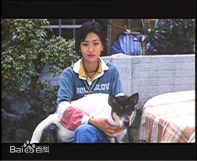 徐濠萦(Hilary Tsui)参演电影作品（1993-1997）图片图册