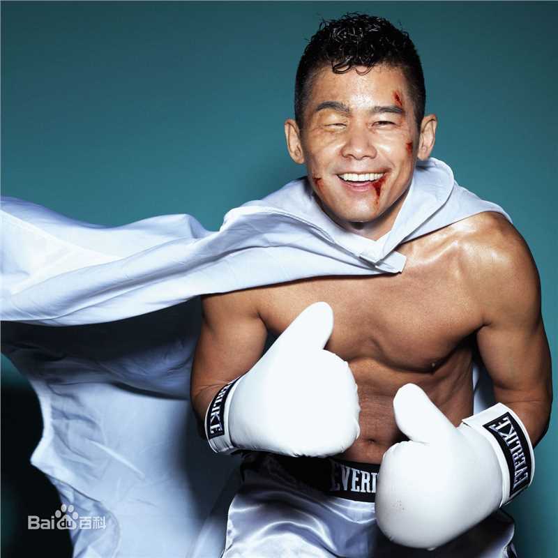 精选林海峰(Jan Lamb)