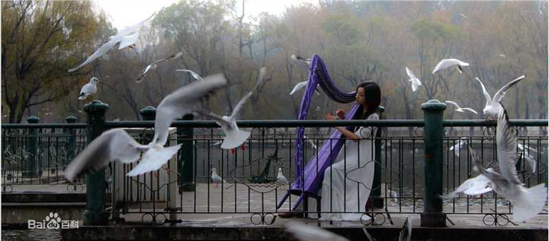 阿年最优质剧照