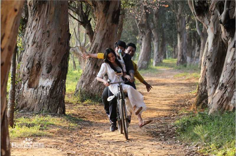 阿年最优质剧照