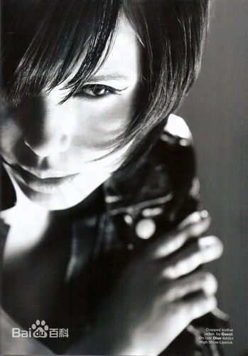 高清郑惠玉(Zoe Tay)性感图片