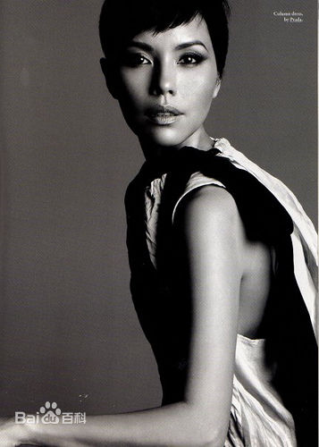 高清郑惠玉(Zoe Tay)性感图片