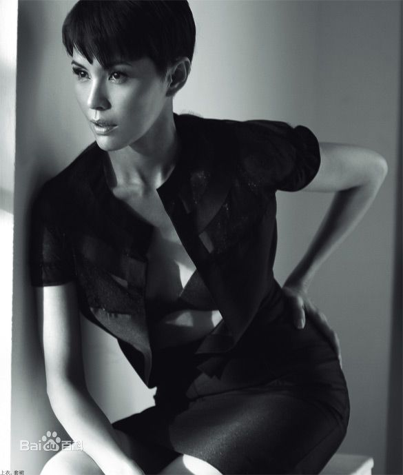 高清郑惠玉(Zoe Tay)精彩图册