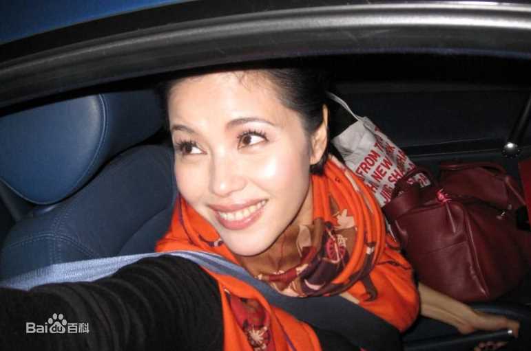 郑惠玉(Zoe Tay)精彩图册