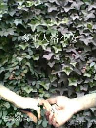 最优质三池崇史(Takashi Miike)素颜照