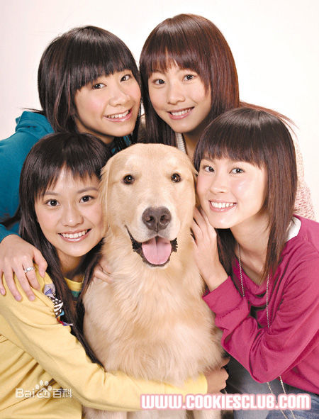 曲奇(Cookies) 四饼永恒性感图片图集