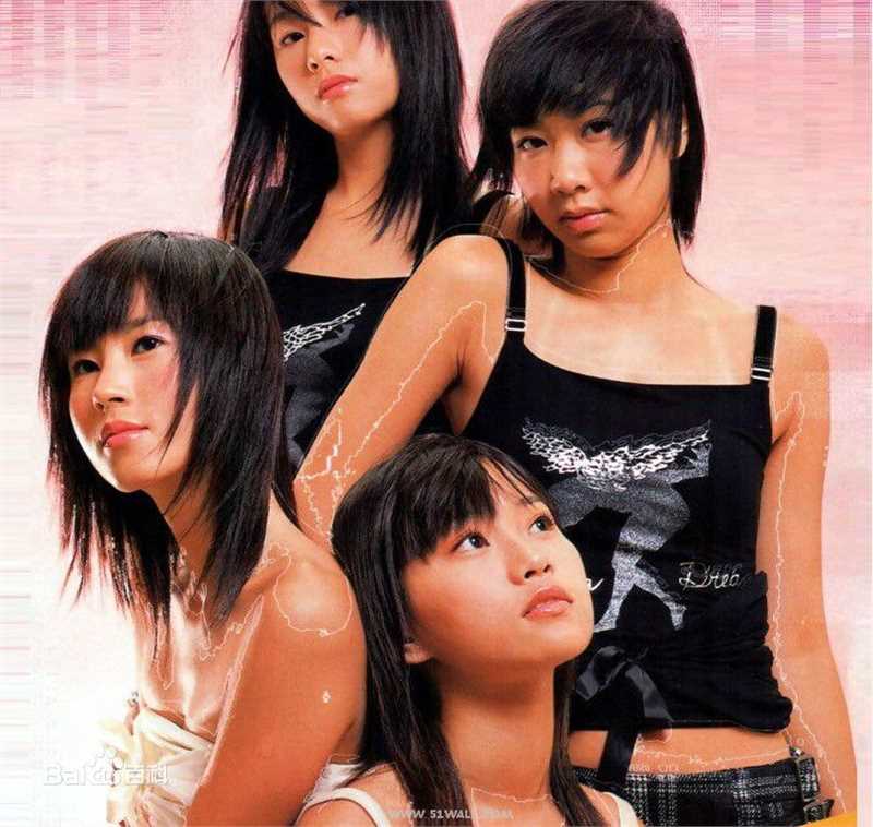 最新曲奇(Cookies)壁纸