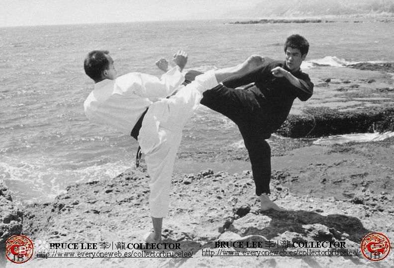 李小龙(Bruce Lee（英语）、ブルース.リー（日语）、 （朝鲜语))与李俊九图册