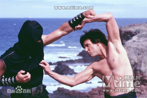 王羽《昆宝出拳》精选剧照