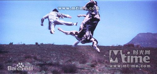 王羽《昆宝出拳》精选剧照