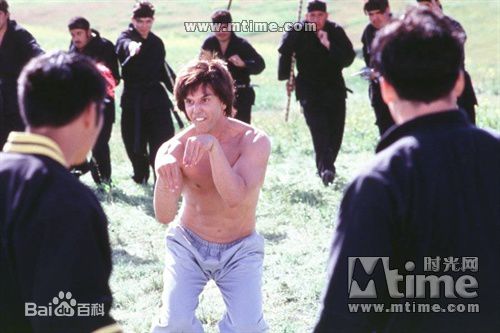 王羽《昆宝出拳》精选剧照