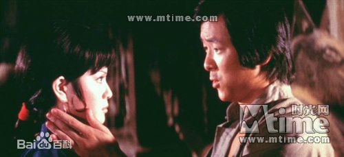 王羽《昆宝出拳》精选剧照