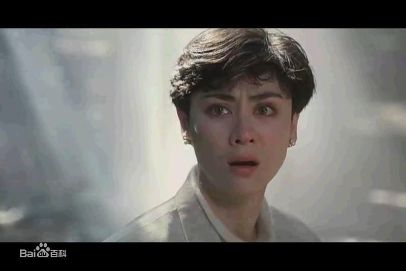 高丽虹(Joyce Mina Godenzi)前后照片