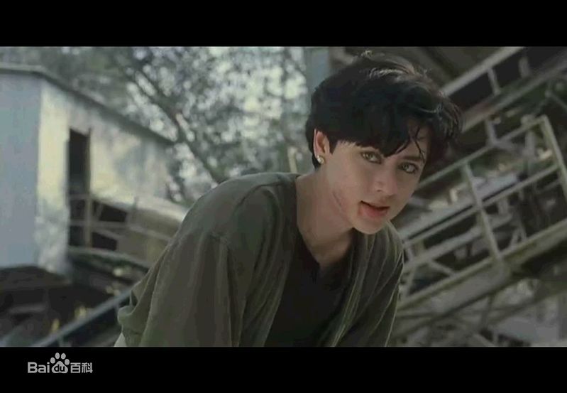 高丽虹(Joyce Mina Godenzi)前后照片