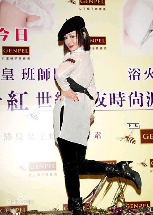 潘迎紫(Yin Tze Pan，Angela)2009年12月20日台北影友会前后照片