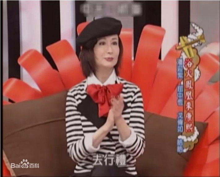 潘迎紫(Yin Tze Pan，Angela)康熙来了生活照相册