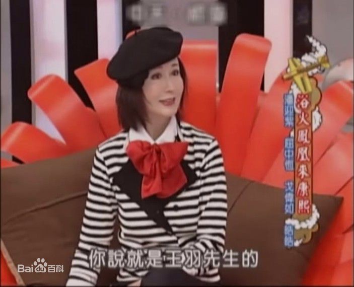 潘迎紫(Yin Tze Pan，Angela)康熙来了生活照相册