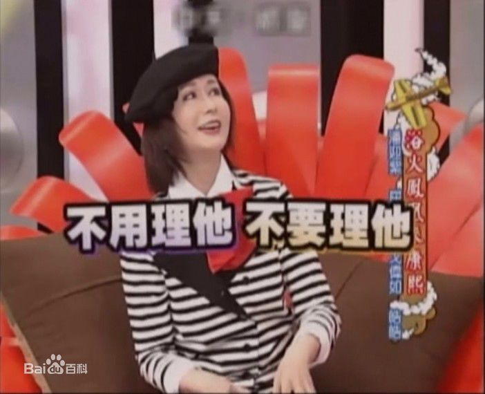 潘迎紫(Yin Tze Pan，Angela)康熙来了生活照相册