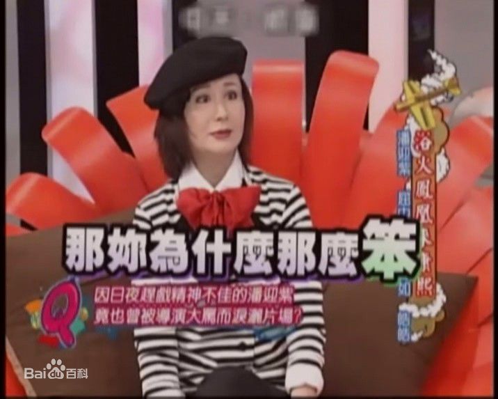 潘迎紫(Yin Tze Pan，Angela)康熙来了生活照相册