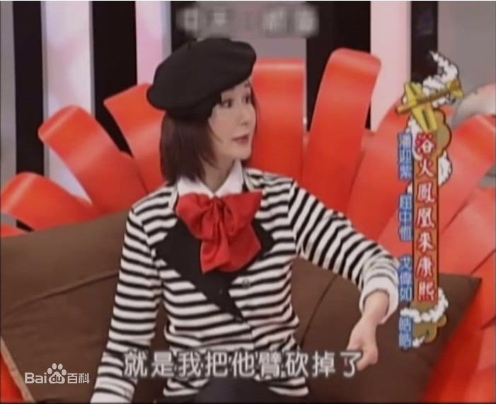 潘迎紫(Yin Tze Pan，Angela)康熙来了生活照相册