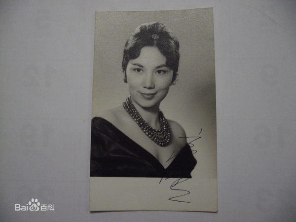 高清高宝树精彩图册