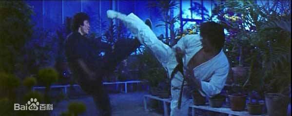 王虎(Casanova Wong)电影高清剧照