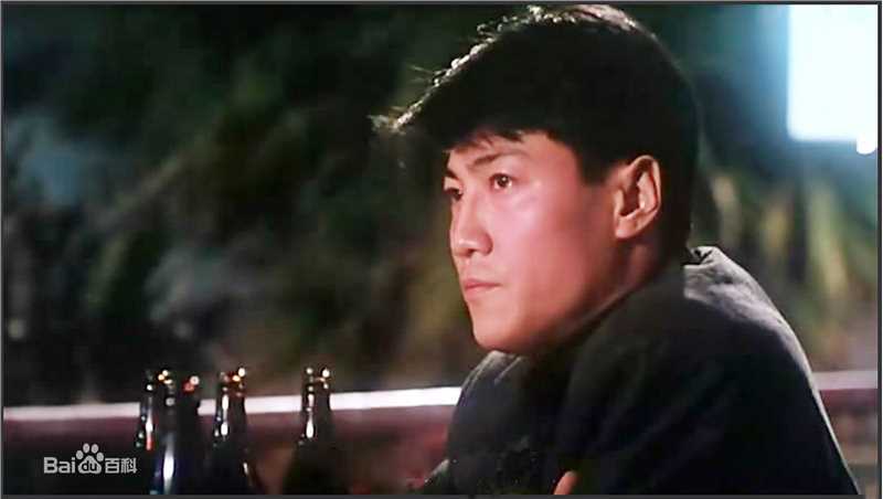 林国斌影视高清剧照