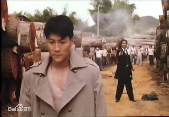 林国斌影视高清剧照