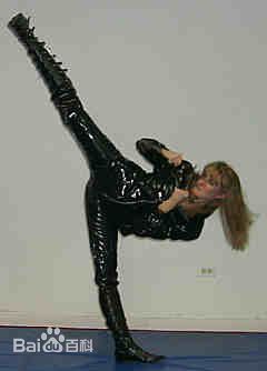 辛西亚·罗斯洛克(Cynthia Rothrock)罗芙洛的照片生活照