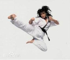 辛西亚·罗斯洛克(Cynthia Rothrock)罗芙洛的照片生活照