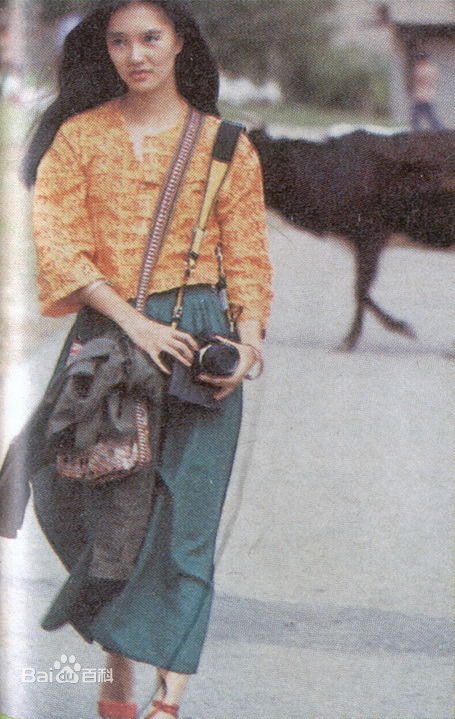 龙君儿风华绝代图片图集