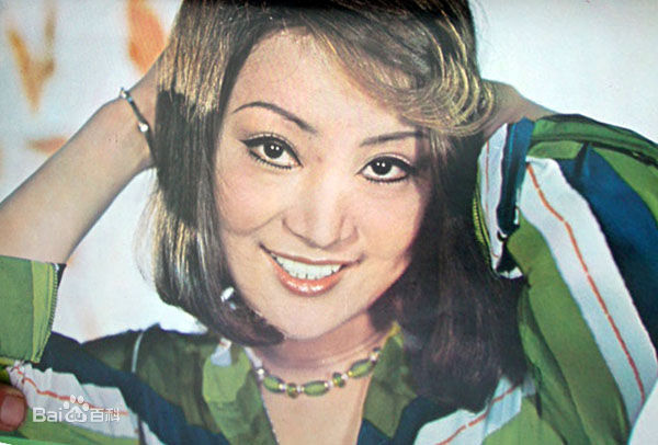 陈淑霞精选陈萍封面照图册