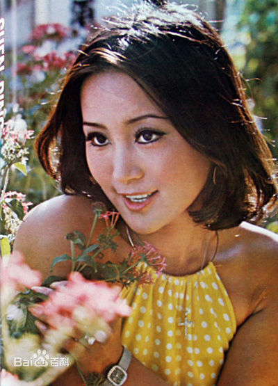 陈淑霞精选陈萍封面照图册