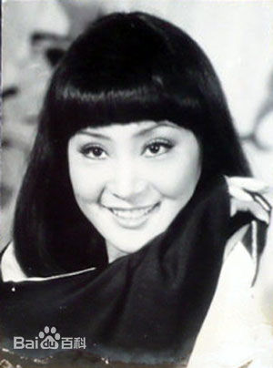 陈淑霞精选陈萍封面照图册