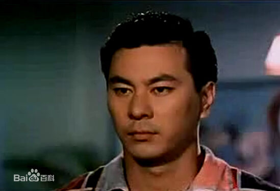 乔宏(Roy Chiao)年轻照片素颜照相册