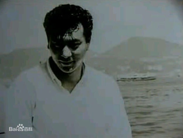 乔宏(Roy Chiao)年轻照片素颜照相册