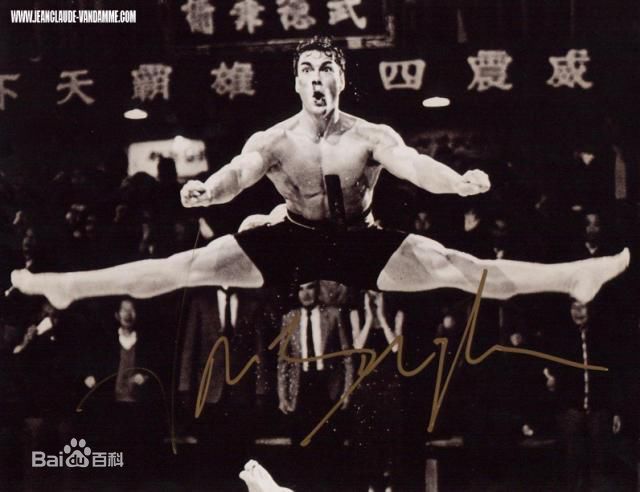 高清乔宏(Roy Chiao)图片