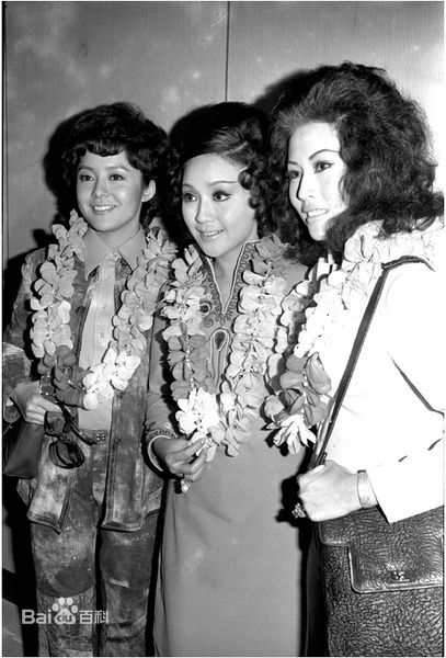 李菁(Ching Lee)与他人合影前后照片